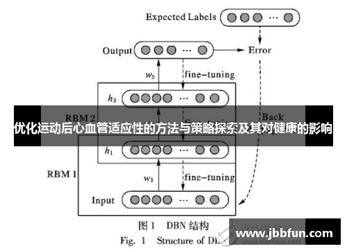 优化运动后心血管适应性的方法与策略探索及其对健康的影响